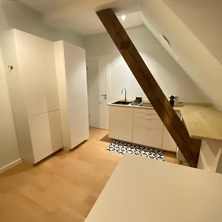 Les Toits De Gutenberg Strasbourg Exterior photo